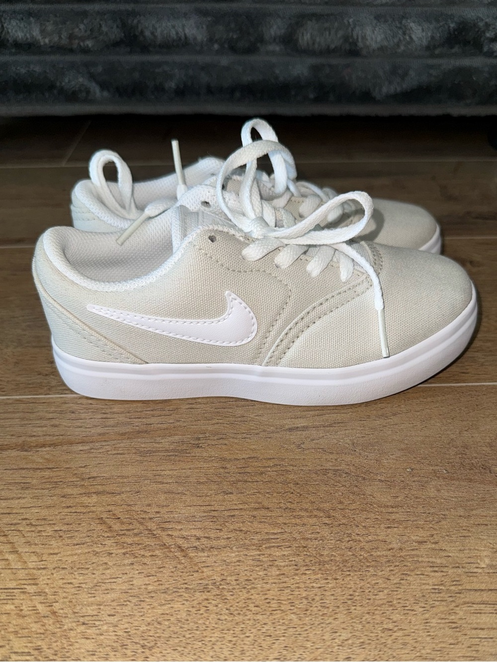 Nike SB Canvas Sneakers